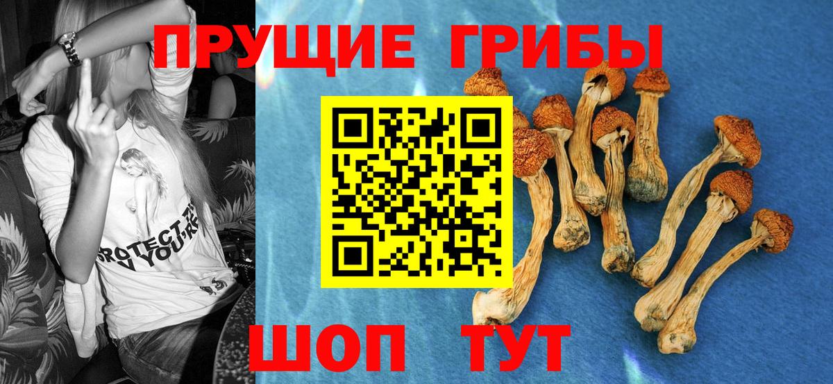Псилоцибиновые грибы GOLDEN TEACHER  Псилоцибиновые грибы Psilocybe  Сальск  Вход с VPN 