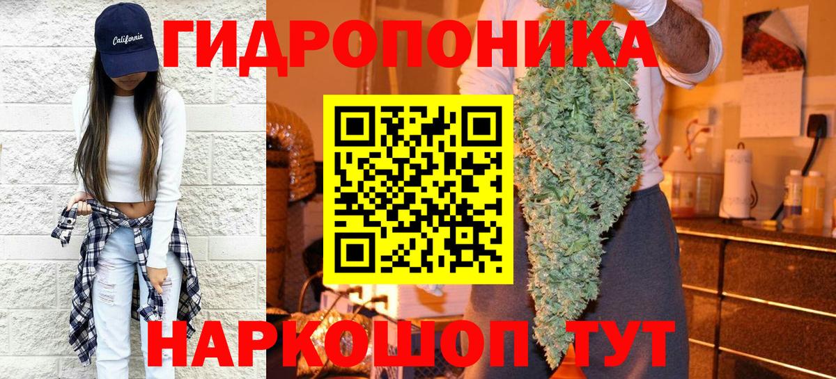 Конопля Ganja Сальск